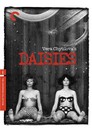 Cover for Daisies
