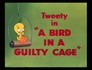 Cover for A Bird in a Guilty Cage